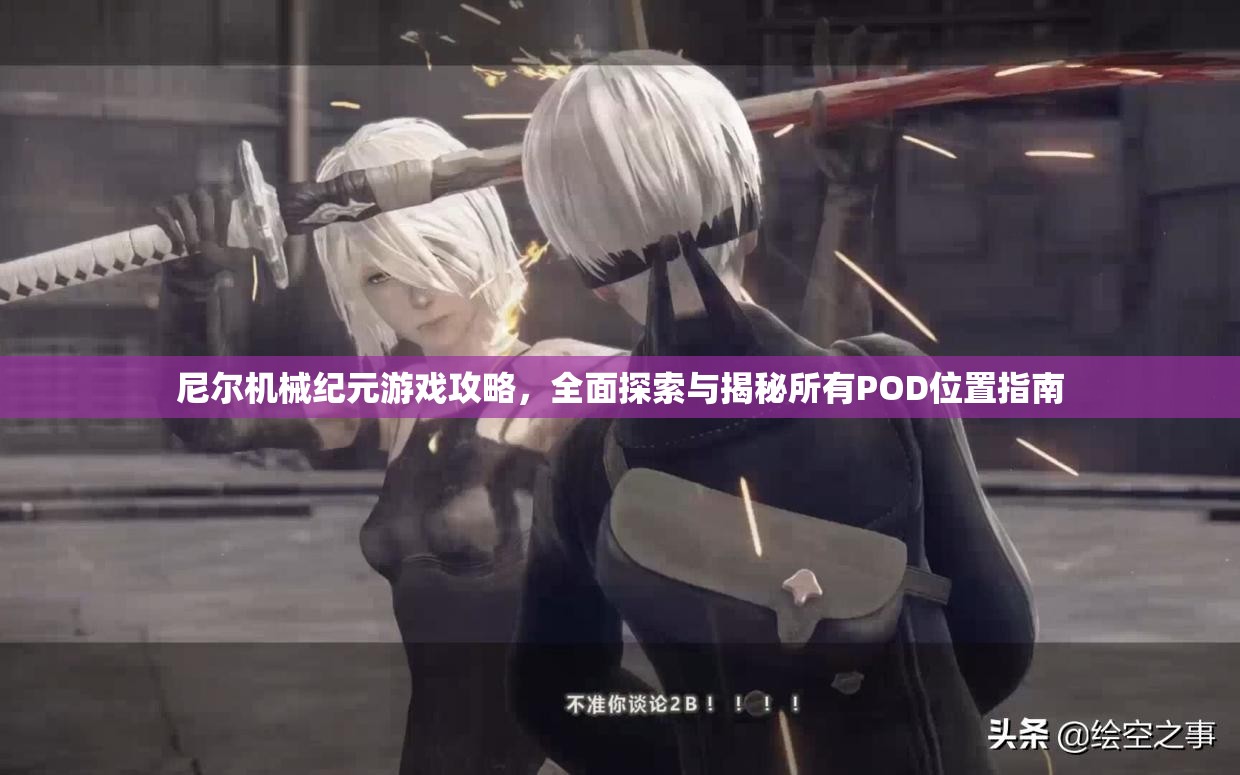 尼尔机械纪元游戏攻略，全面探索与揭秘所有POD位置指南