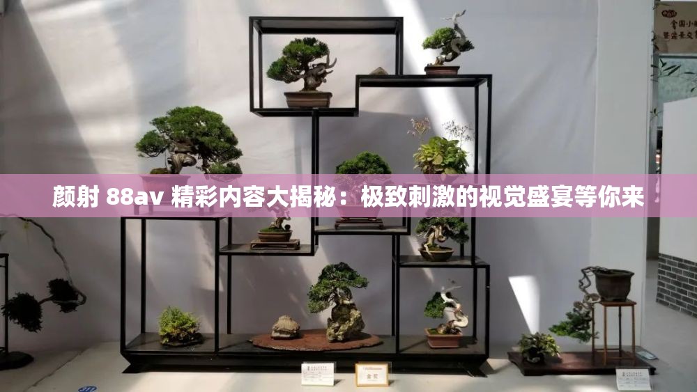 颜射 88av 精彩内容大揭秘：极致刺激的视觉盛宴等你来