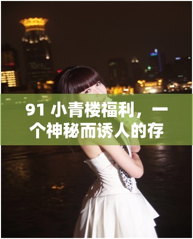 91 小青楼福利，一个神秘而诱人的存在