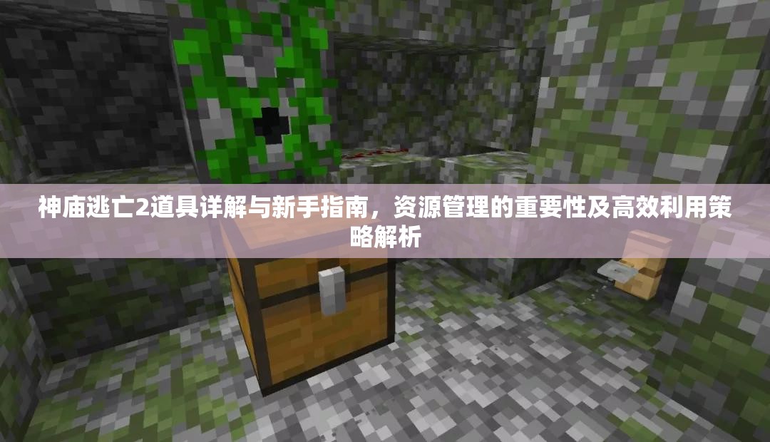 神庙逃亡2道具详解与新手指南，资源管理的重要性及高效利用策略解析