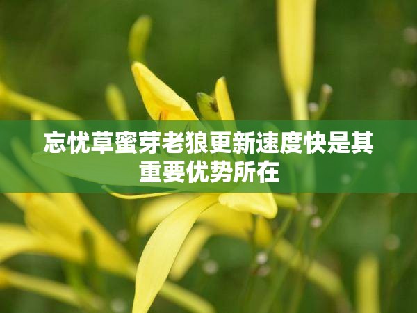 忘忧草蜜芽老狼更新速度快是其重要优势所在