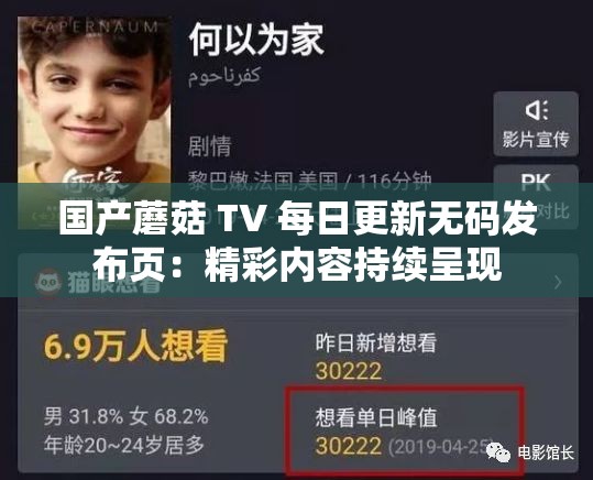 国产蘑菇 TV 每日更新无码发布页：精彩内容持续呈现