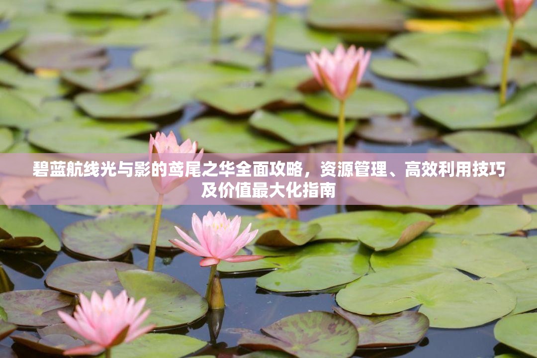 碧蓝航线光与影的鸢尾之华全面攻略，资源管理、高效利用技巧及价值最大化指南