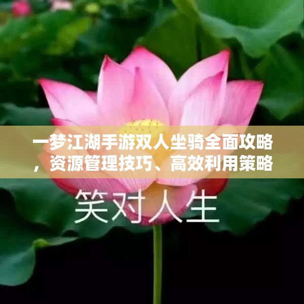 一梦江湖手游双人坐骑全面攻略，资源管理技巧、高效利用策略与价值最大化途径