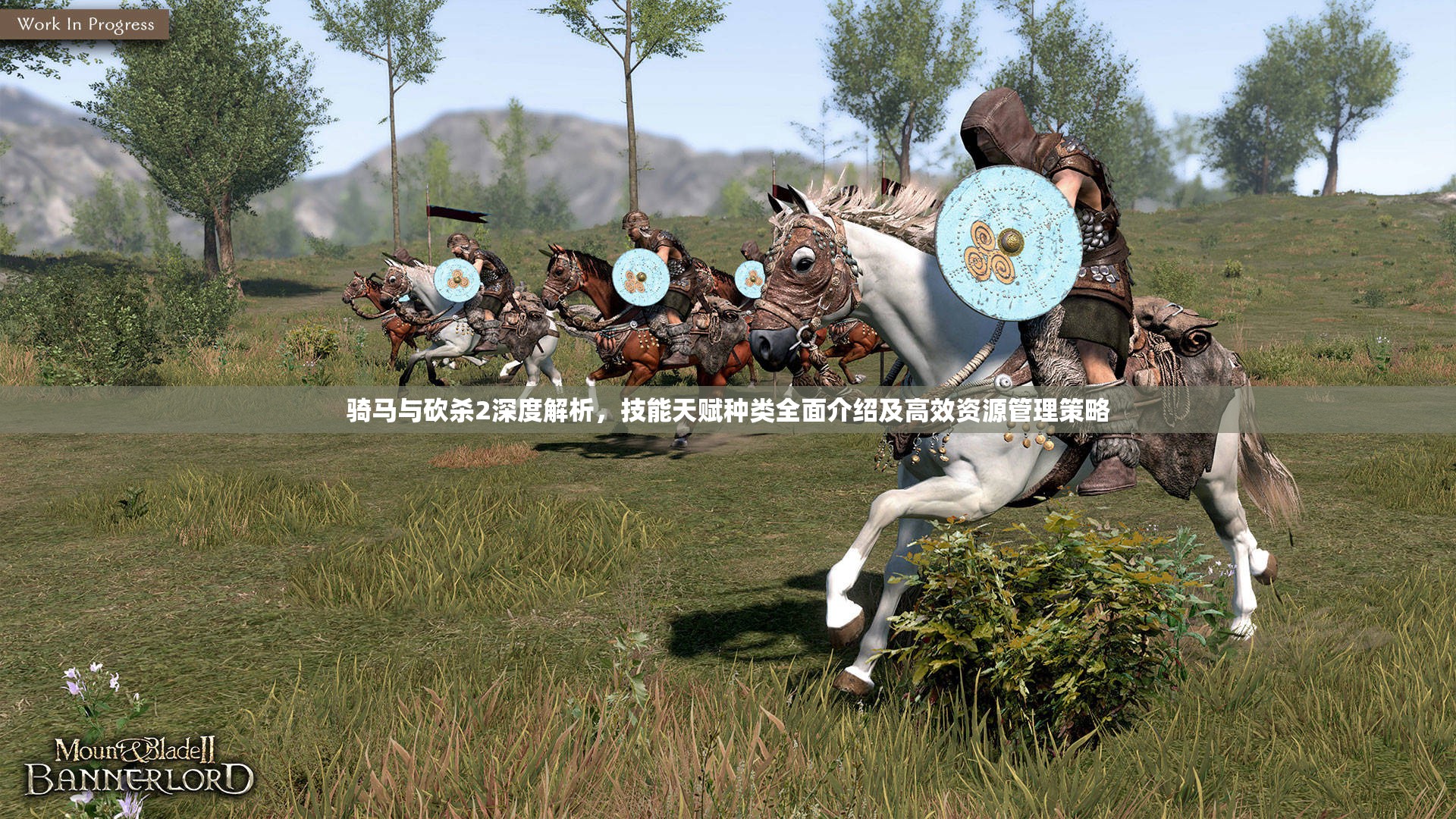 骑马与砍杀2深度解析，技能天赋种类全面介绍及高效资源管理策略