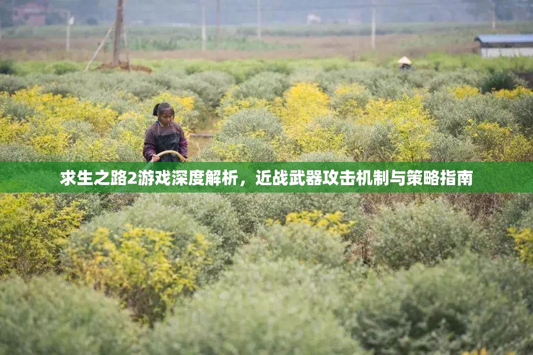求生之路2游戏深度解析，近战武器攻击机制与策略指南
