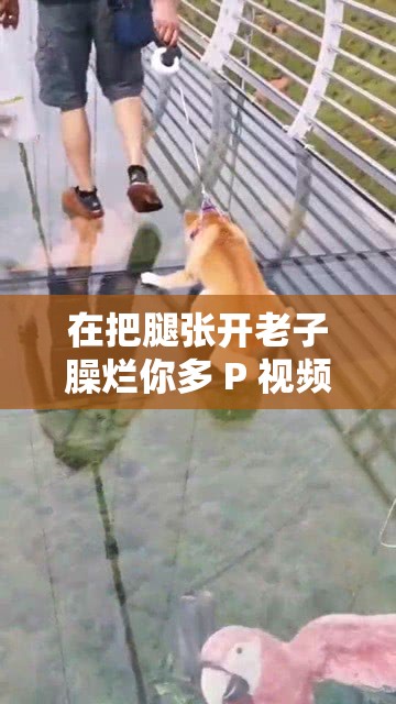 在把腿张开老子臊烂你多 P 视频软件中探索私密的世界：无尽的可能性等你来发现