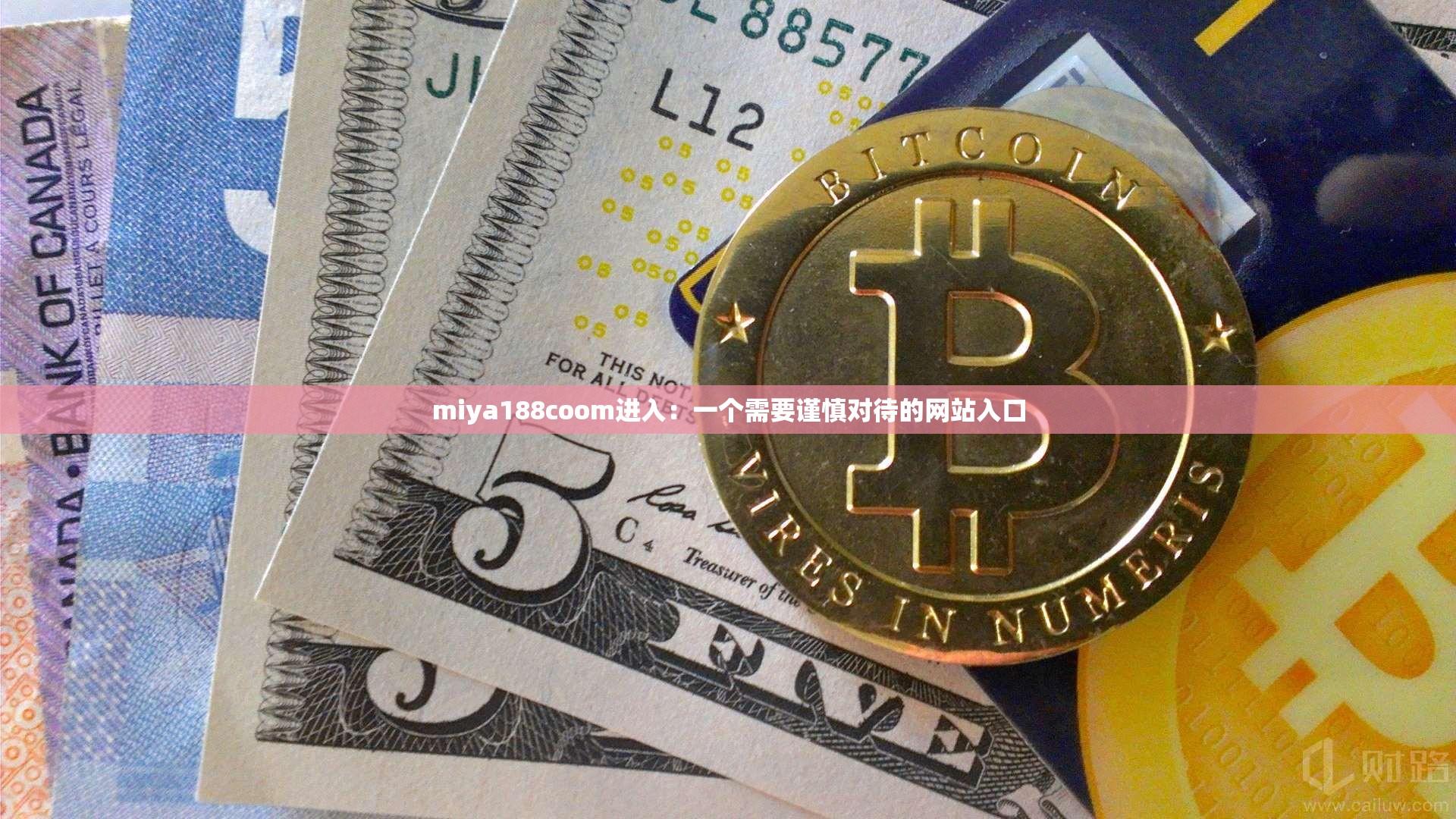 miya188coom进入：一个需要谨慎对待的网站入口