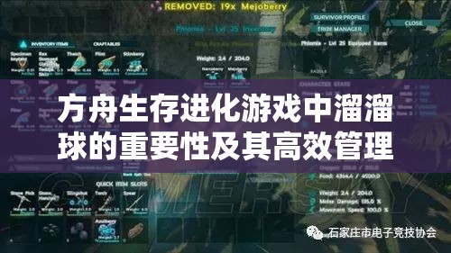 方舟生存进化游戏中溜溜球的重要性及其高效管理与使用技巧