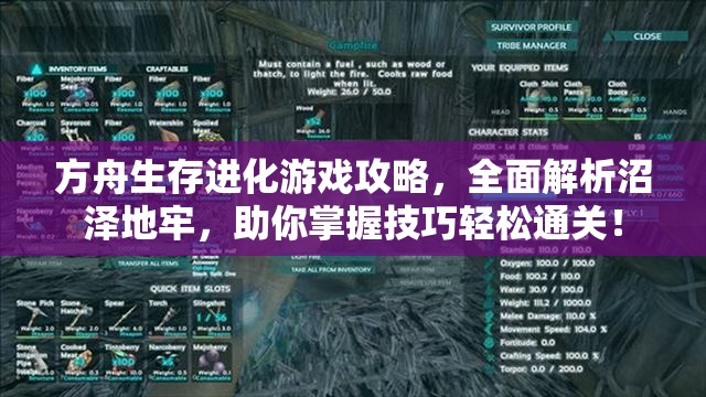 方舟生存进化游戏攻略，全面解析沼泽地牢，助你掌握技巧轻松通关！