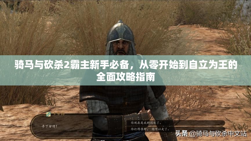 骑马与砍杀2霸主新手必备，从零开始到自立为王的全面攻略指南