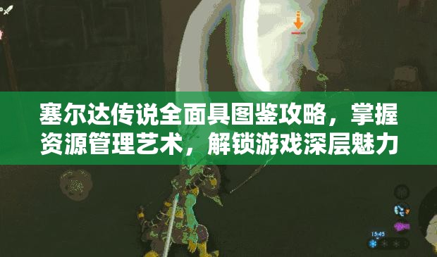 塞尔达传说全面具图鉴攻略，掌握资源管理艺术，解锁游戏深层魅力