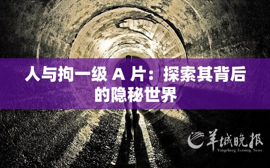 人与拘一级 A 片：探索其背后的隐秘世界