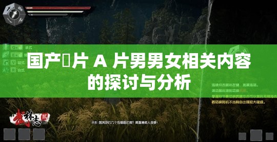 国产婬片 A 片男男女相关内容的探讨与分析