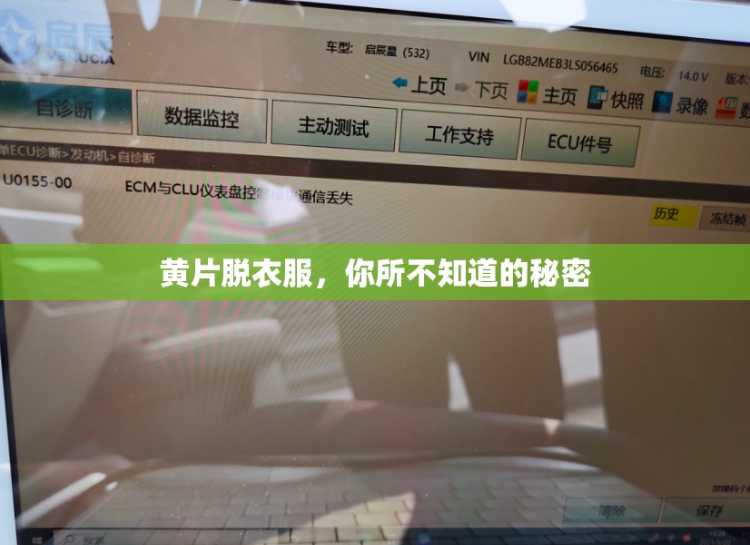 黄片脱衣服，你所不知道的秘密