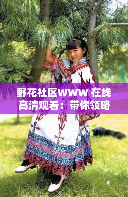 野花社区WWW 在线高清观看：带你领略不一样的影视世界