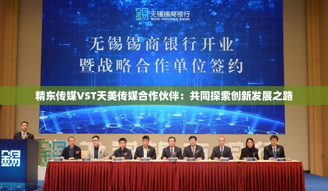 精东传媒VST天美传媒合作伙伴：共同探索创新发展之路