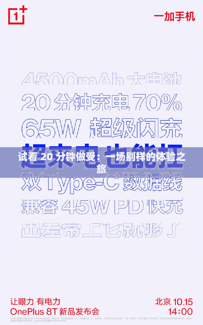 试看 20 分钟做受：一场别样的体验之旅