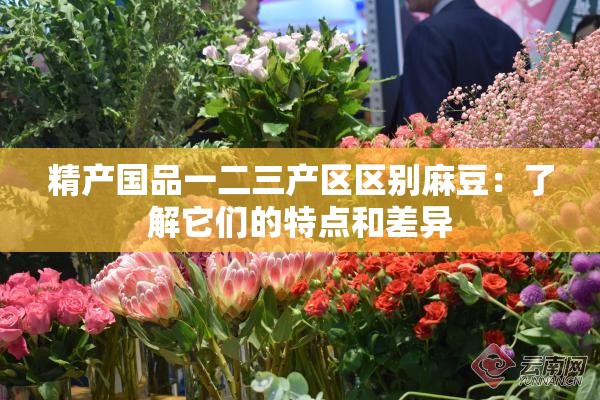 精产国品一二三产区区别麻豆：了解它们的特点和差异