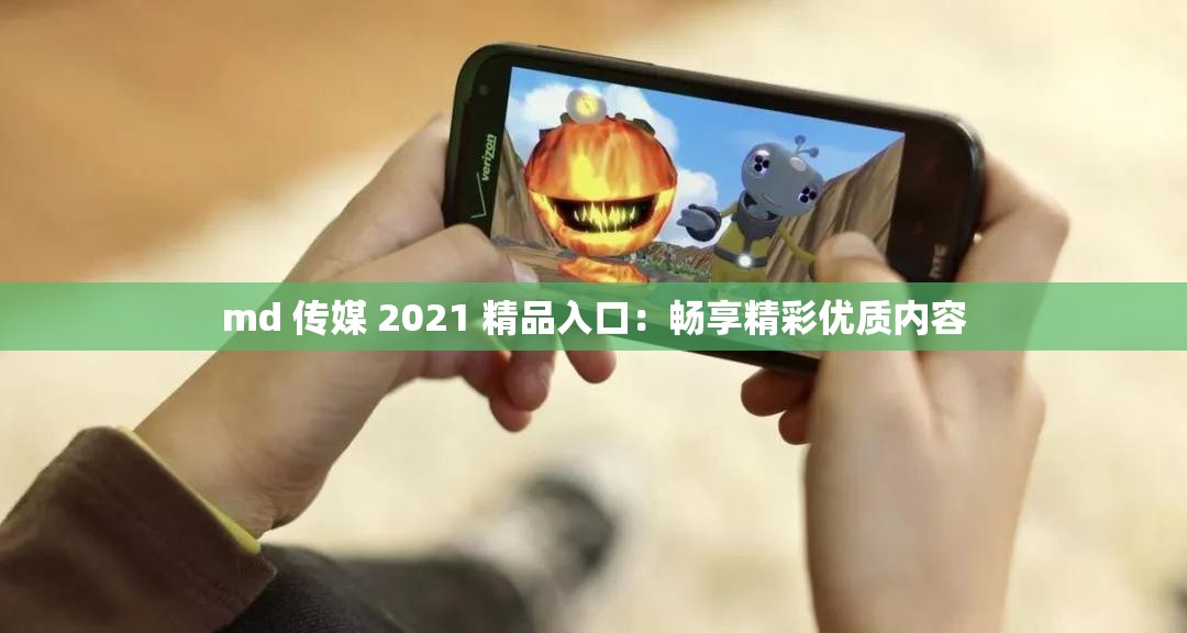 md 传媒 2021 精品入口：畅享精彩优质内容