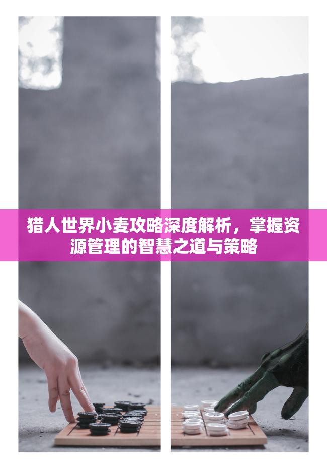 猎人世界小麦攻略深度解析，掌握资源管理的智慧之道与策略