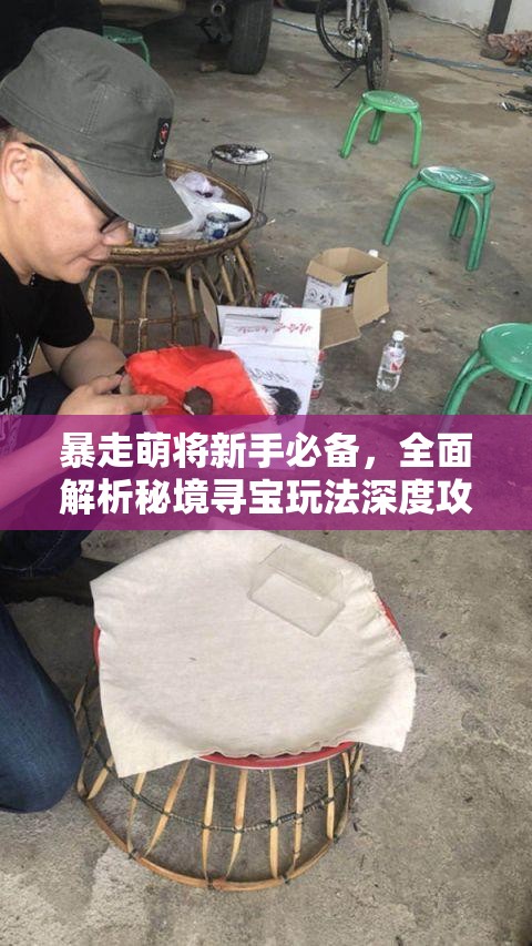 暴走萌将新手必备，全面解析秘境寻宝玩法深度攻略