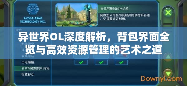 异世界OL深度解析，背包界面全览与高效资源管理的艺术之道
