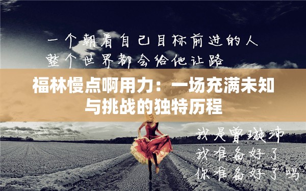 福林慢点啊用力：一场充满未知与挑战的独特历程
