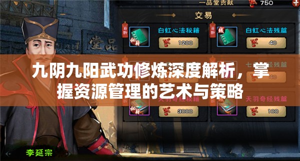 九阴九阳武功修炼深度解析，掌握资源管理的艺术与策略