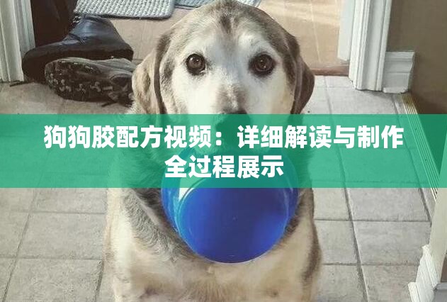 狗狗胶配方视频：详细解读与制作全过程展示