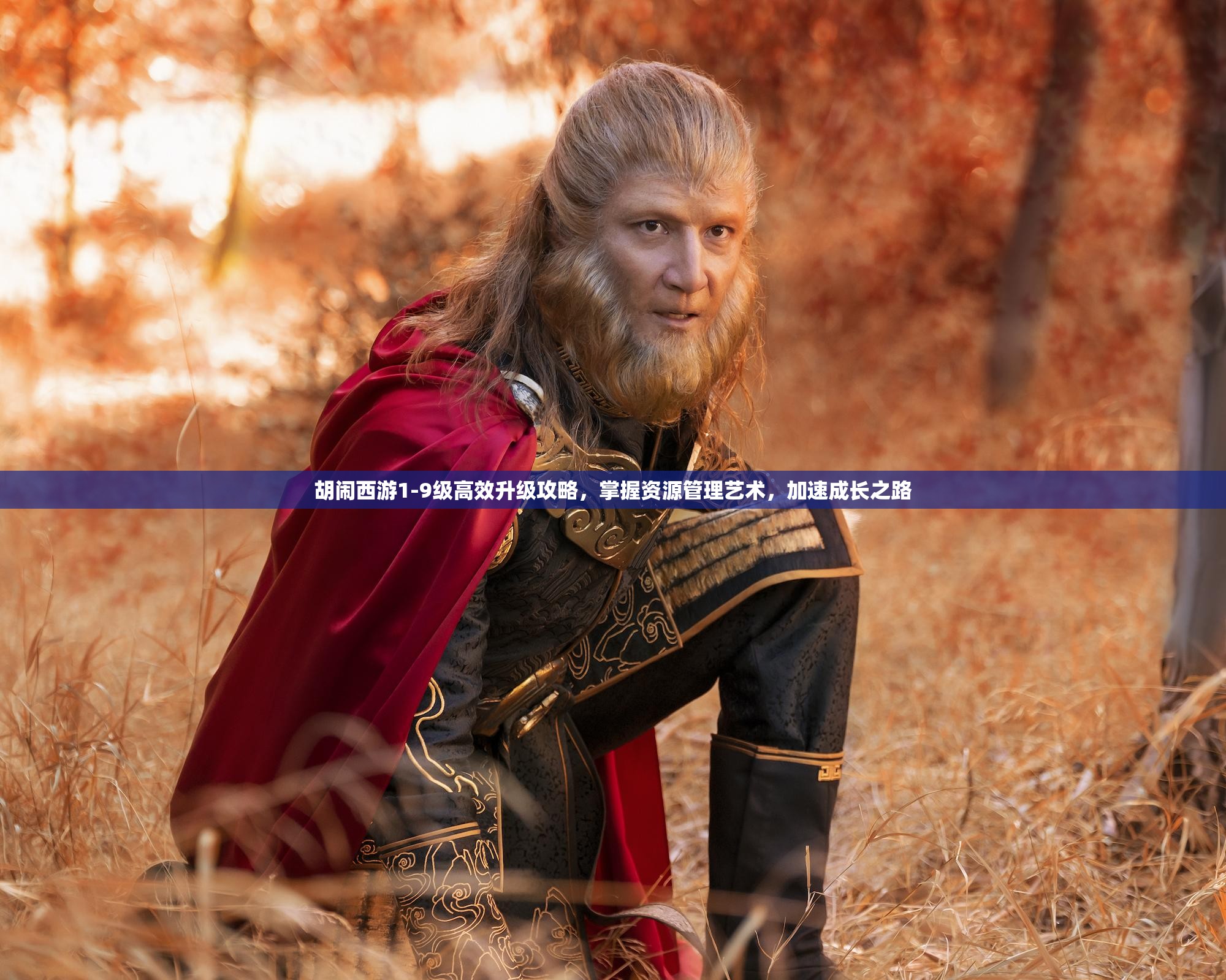 胡闹西游1-9级高效升级攻略，掌握资源管理艺术，加速成长之路