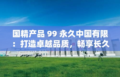 国精产品 99 永久中国有限：打造卓越品质，畅享长久服务