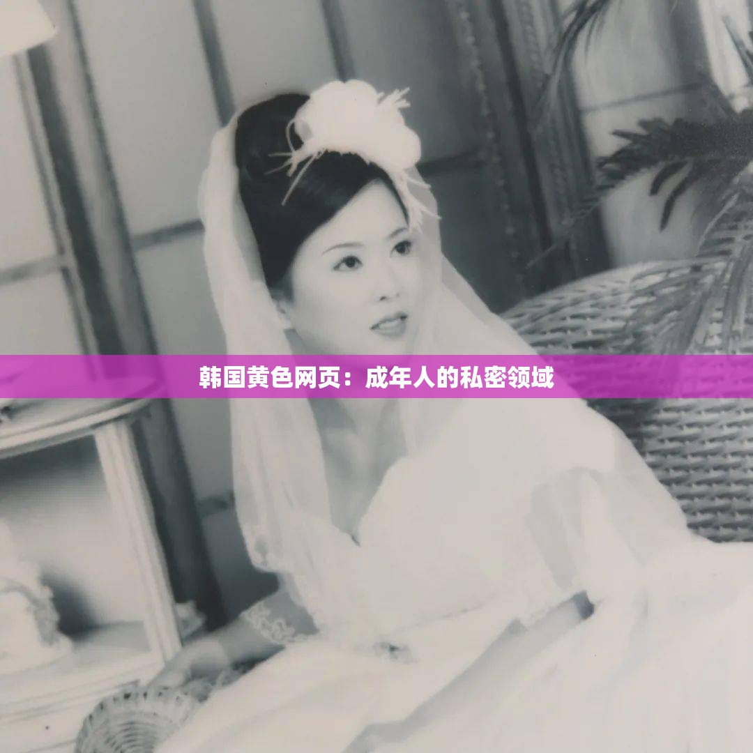 韩国黄色网页：成年人的私密领域