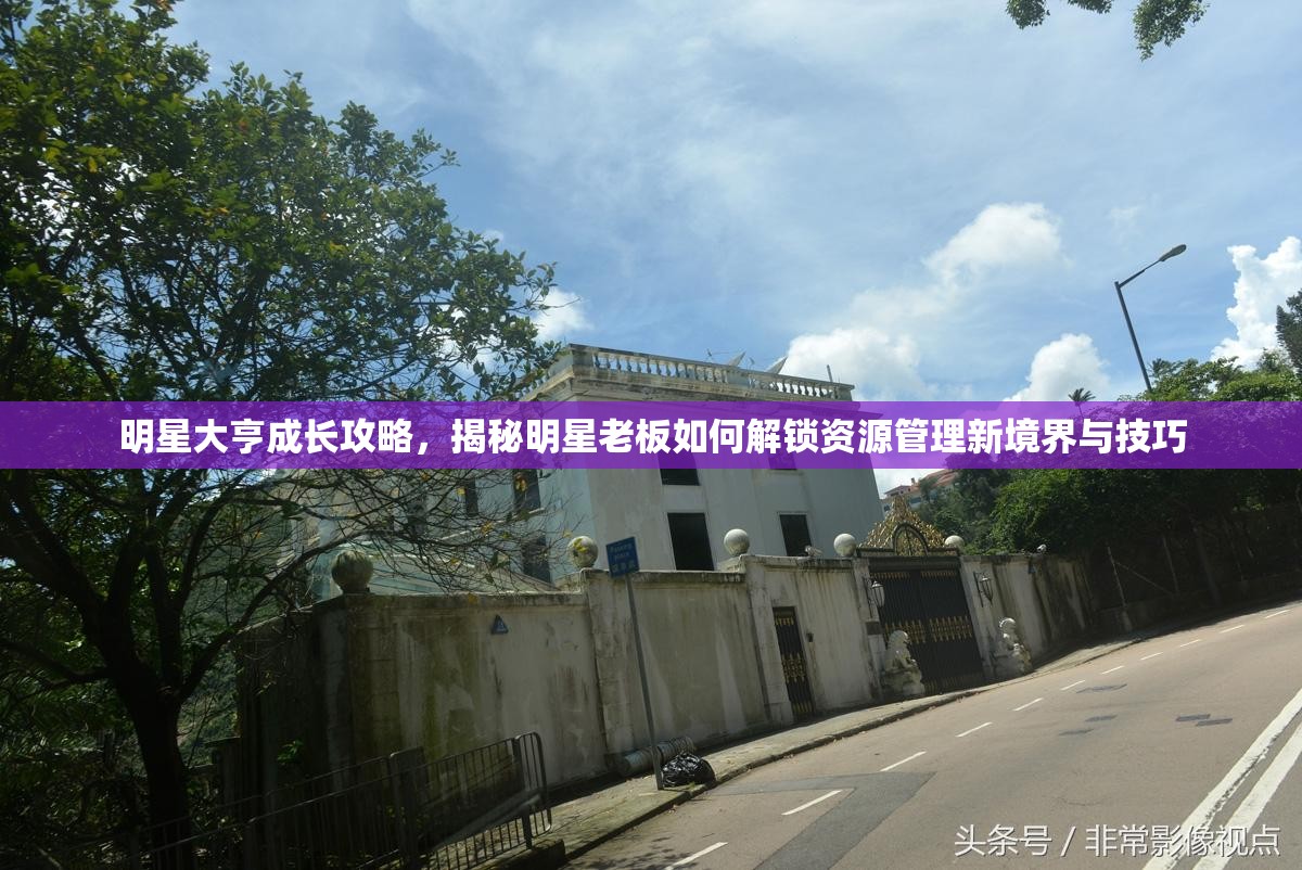 明星大亨成长攻略，揭秘明星老板如何解锁资源管理新境界与技巧