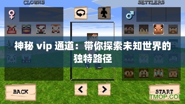 神秘 vip 通道：带你探索未知世界的独特路径