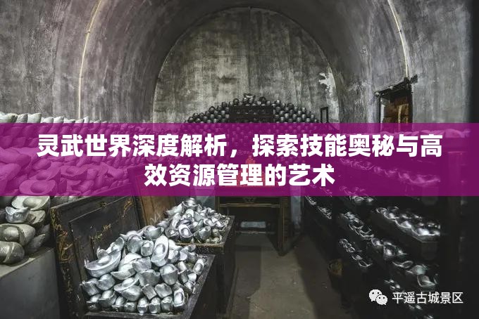 灵武世界深度解析，探索技能奥秘与高效资源管理的艺术