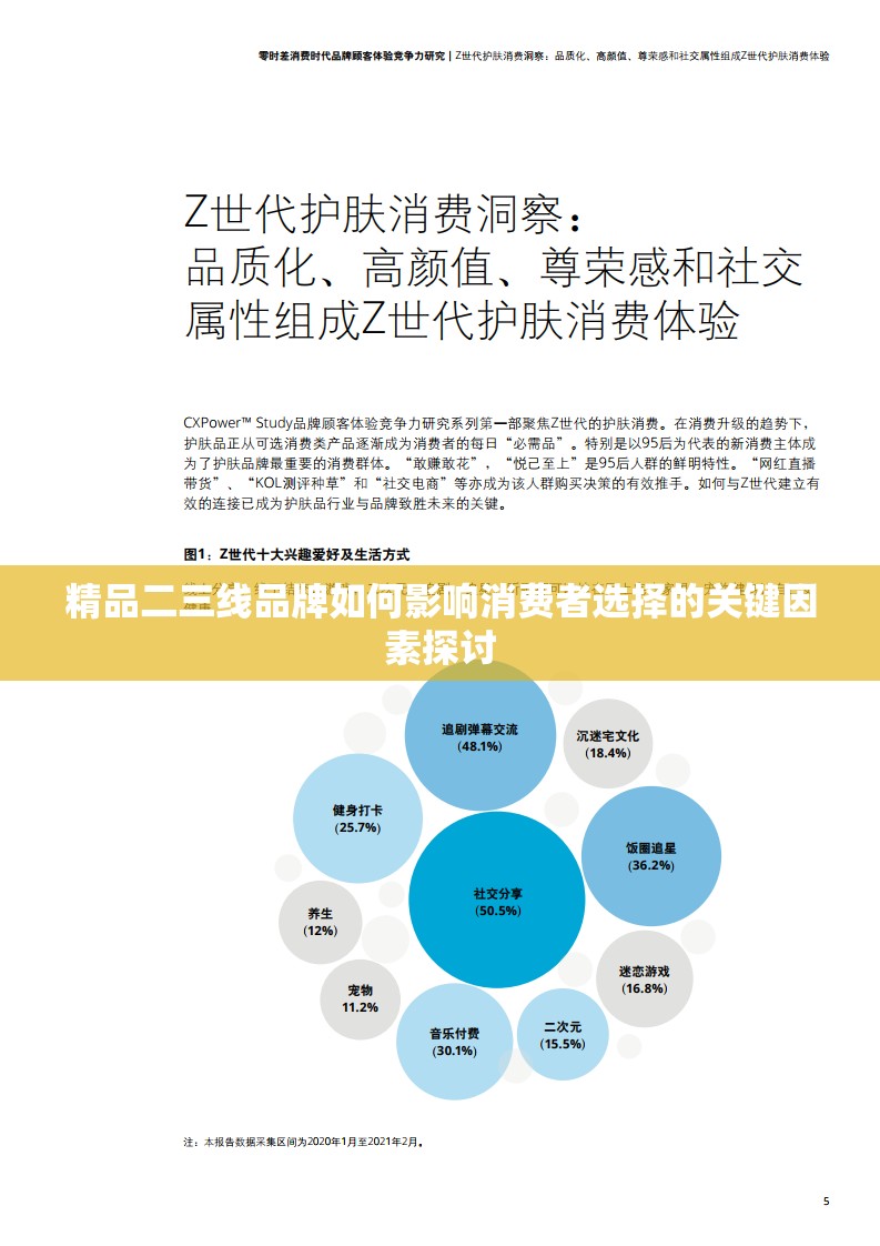 精品二三线品牌如何影响消费者选择的关键因素探讨