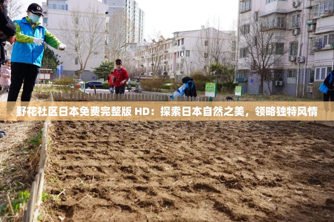 野花社区日本免费完整版 HD：探索日本自然之美，领略独特风情