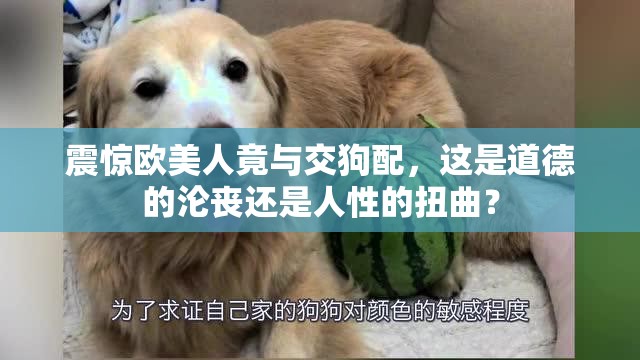 震惊欧美人竟与交狗配，这是道德的沦丧还是人性的扭曲？