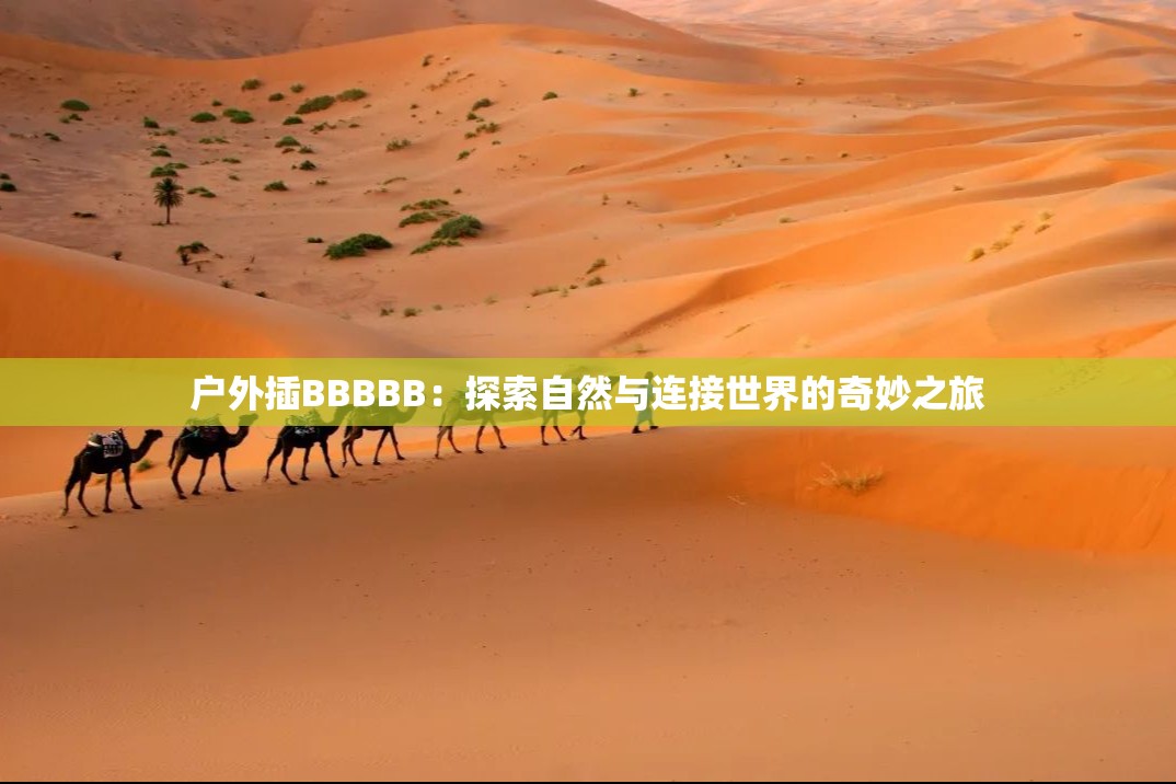 户外插BBBBB：探索自然与连接世界的奇妙之旅