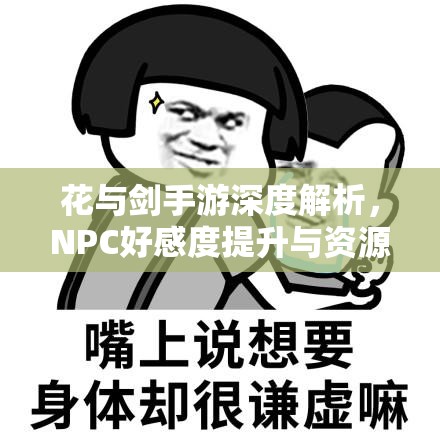花与剑手游深度解析，NPC好感度提升与资源管理策略艺术