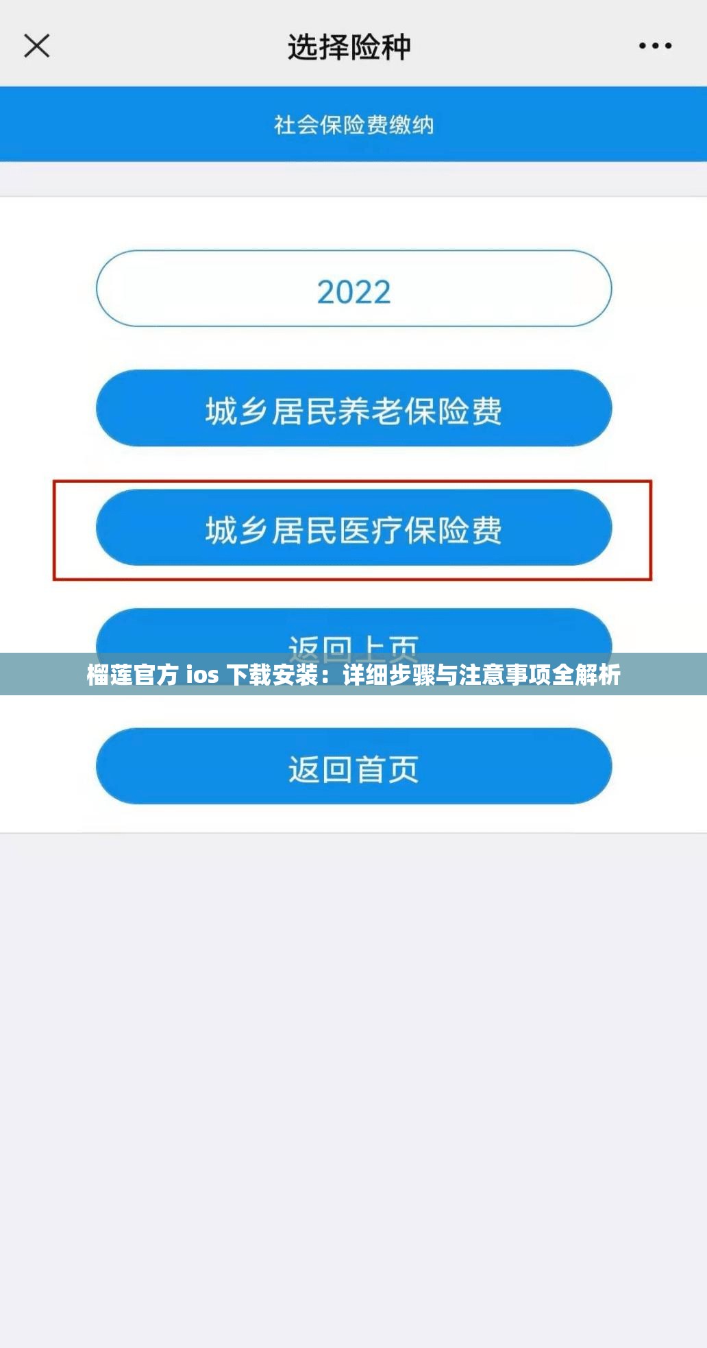 榴莲官方 ios 下载安装：详细步骤与注意事项全解析