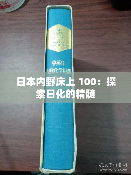 日本内野床上 100：探索日化的精髓