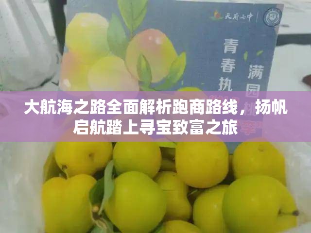 大航海之路全面解析跑商路线，扬帆启航踏上寻宝致富之旅