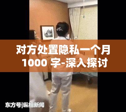 对方处置隐私一个月 1000 字-深入探讨其影响与应对策略