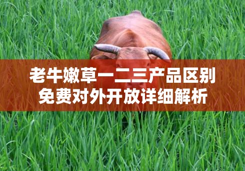 老牛嫩草一二三产品区别免费对外开放详细解析