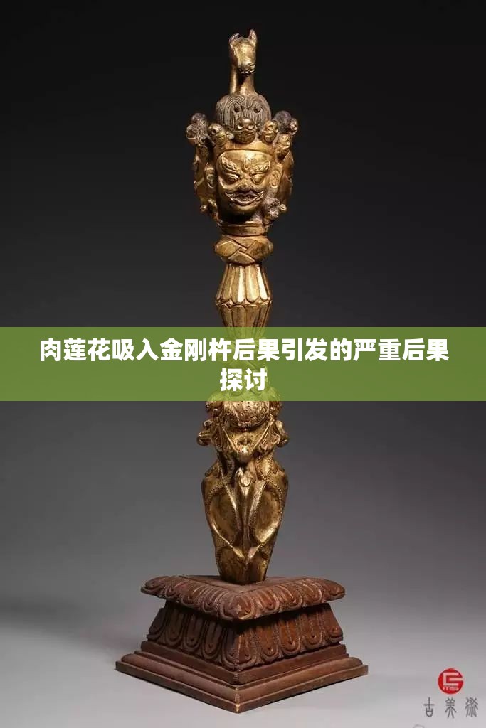 肉莲花吸入金刚杵后果引发的严重后果探讨