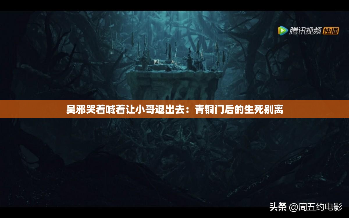 吴邪哭着喊着让小哥退出去：青铜门后的生死别离