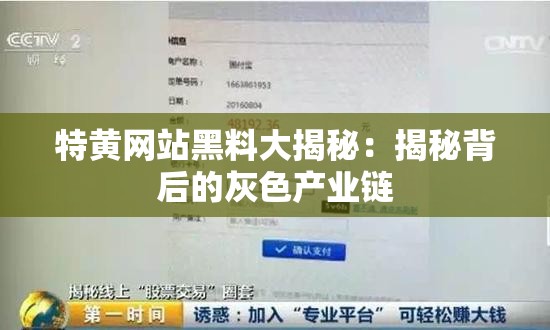 特黄网站黑料大揭秘：揭秘背后的灰色产业链
