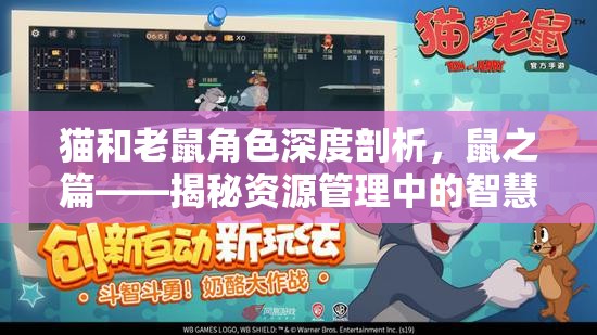 猫和老鼠角色深度剖析，鼠之篇——揭秘资源管理中的智慧与策略